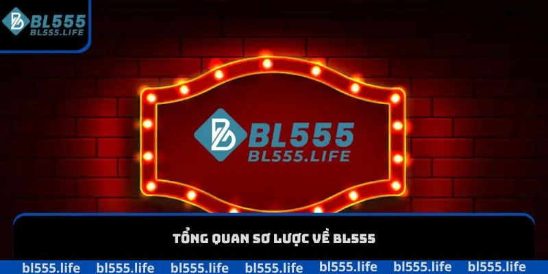 Tổng quan sơ lược về BL555